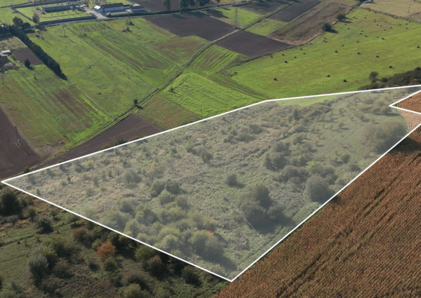 [Stage 0] Solar Farm near Lwowek Slaski: Land Before Construction